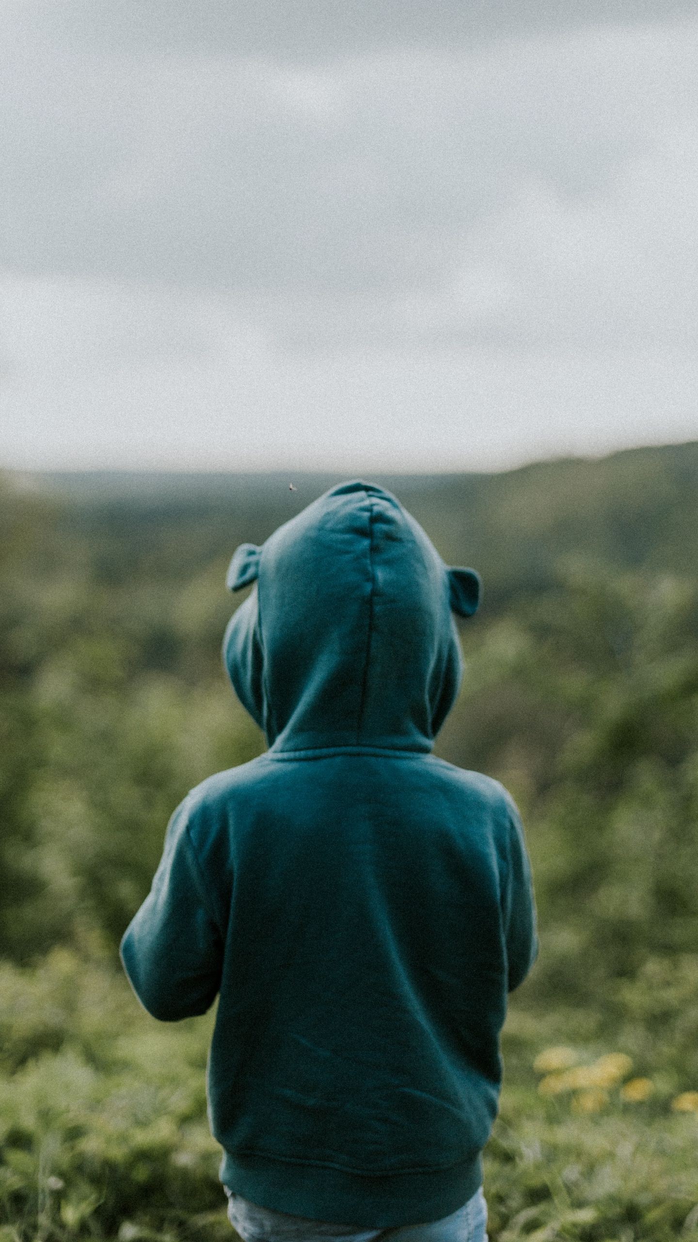 Запланированное огромное повышение детских пособий отменено